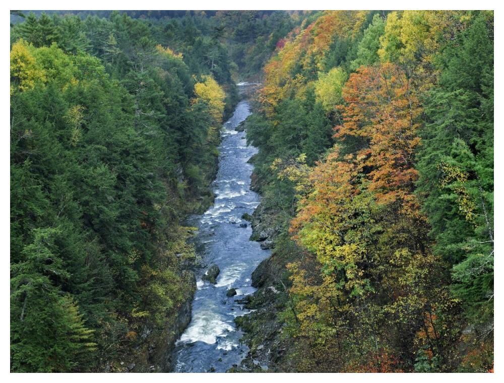 Ottauquechee River and Quechee Gorge, Vermont-Paper Art-50"x38"