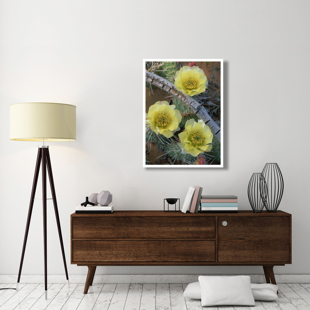 Plains Pricklypear Arches National Park, Utah-Paper Art-32&quotx42"