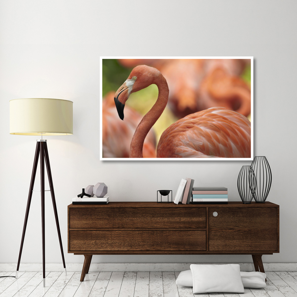 Greater Flamingo, Jurong Bird Park, Singapore-Paper Art-62&quotx42"