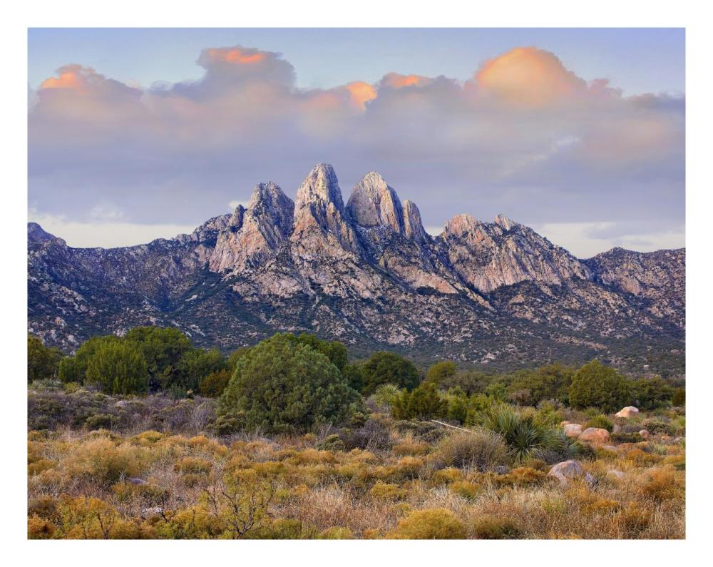 Organ Mountains, Chihuahuan Desert, New Mexico-Paper Art-26"x20"
