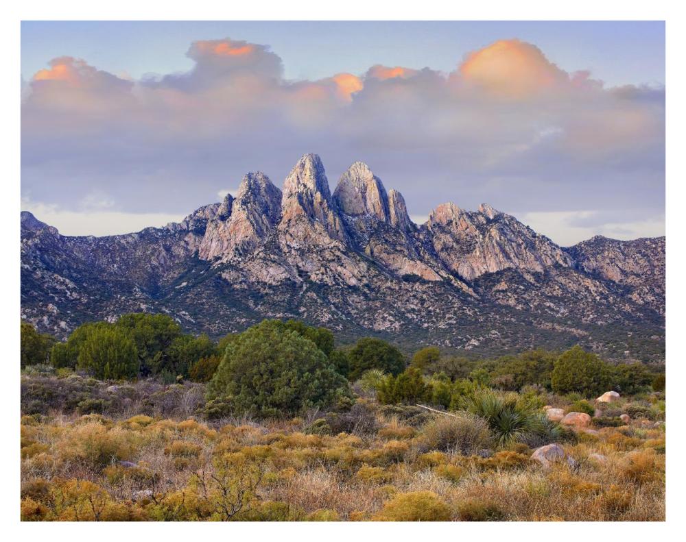 Organ Mountains, Chihuahuan Desert, New Mexico-Paper Art-34"x26"