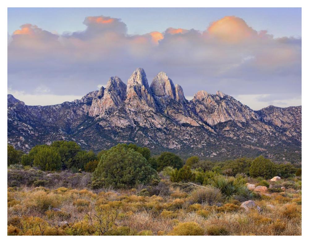 Organ Mountains, Chihuahuan Desert, New Mexico-Paper Art-42"x32"