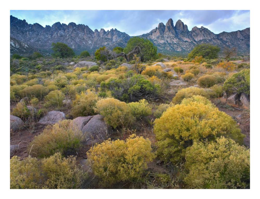 Organ Mountains, Chihuahuan Desert, New Mexico-Paper Art-26"x20"