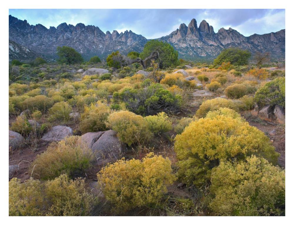 Organ Mountains, Chihuahuan Desert, New Mexico-Paper Art-34"x26"