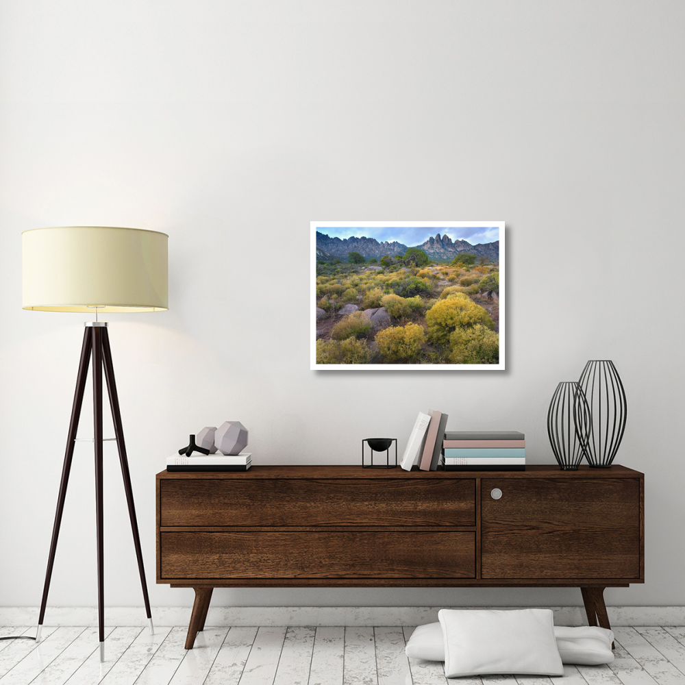Organ Mountains, Chihuahuan Desert, New Mexico-Paper Art-34&quotx26"