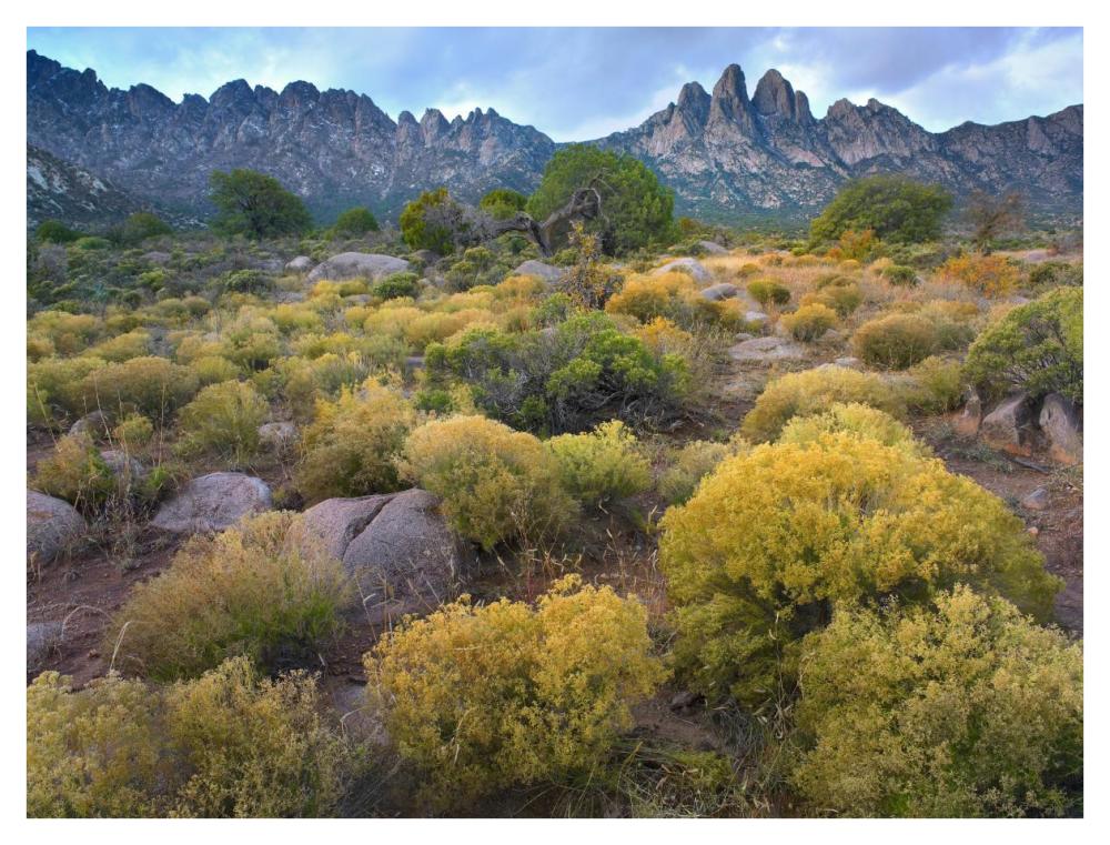 Organ Mountains, Chihuahuan Desert, New Mexico-Paper Art-42"x32"