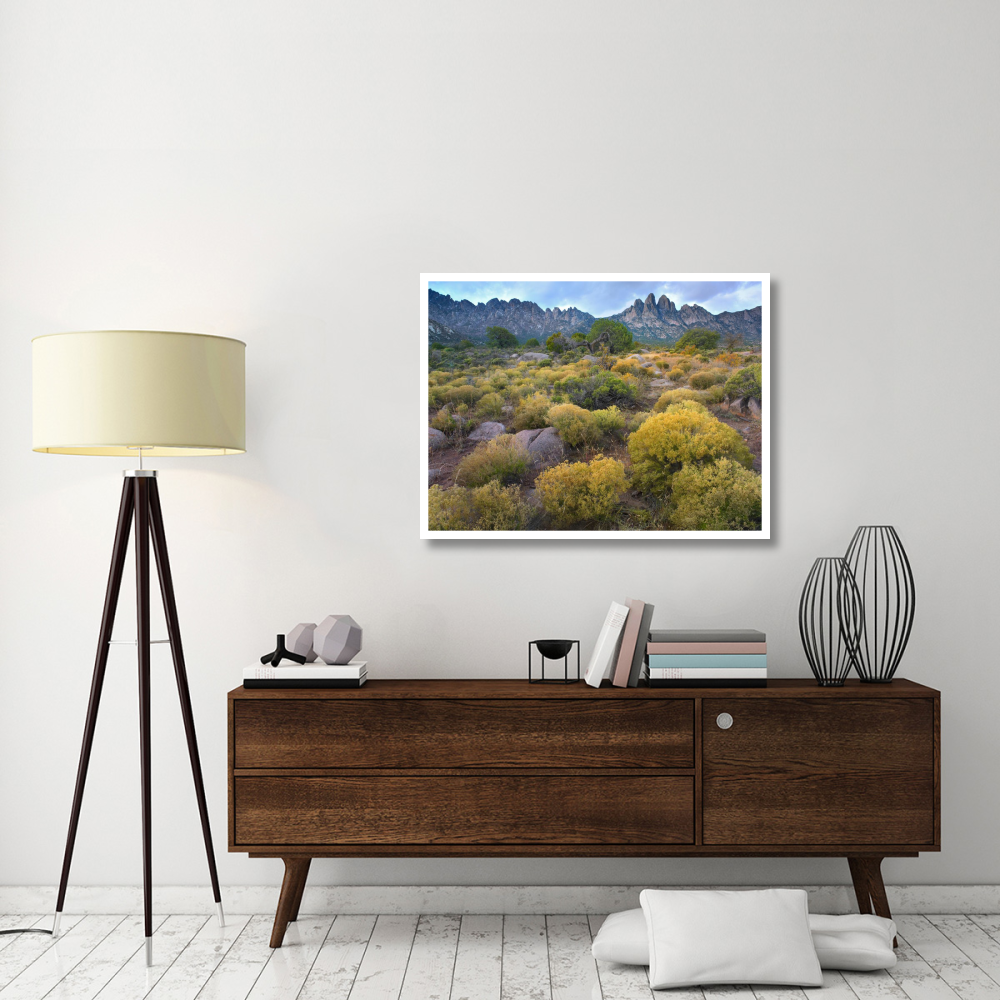 Organ Mountains, Chihuahuan Desert, New Mexico-Paper Art-42&quotx32"