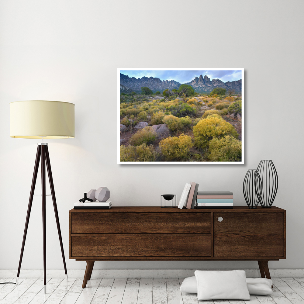 Organ Mountains, Chihuahuan Desert, New Mexico-Paper Art-50&quotx38"