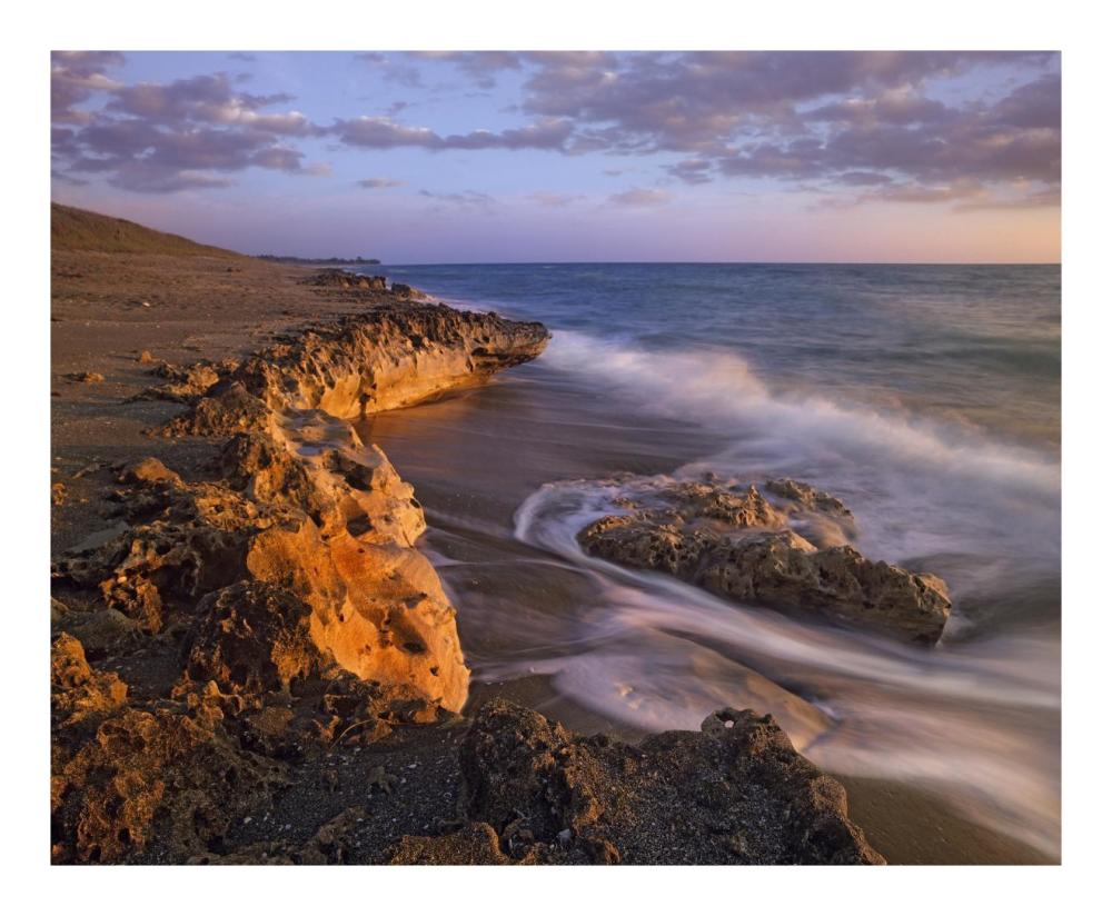 Beach at dusk, Blowing Rocks Preserve, Florida-Paper Art-22"x18"