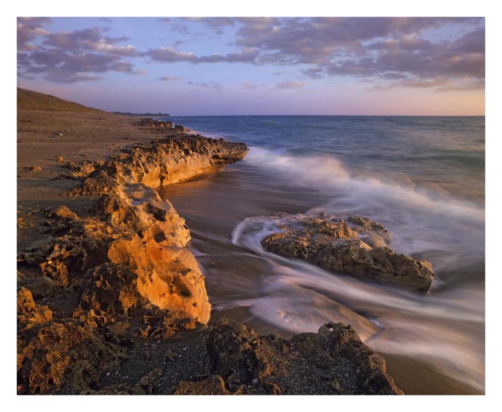 Beach at dusk, Blowing Rocks Preserve, Florida-Paper Art-30"x24"