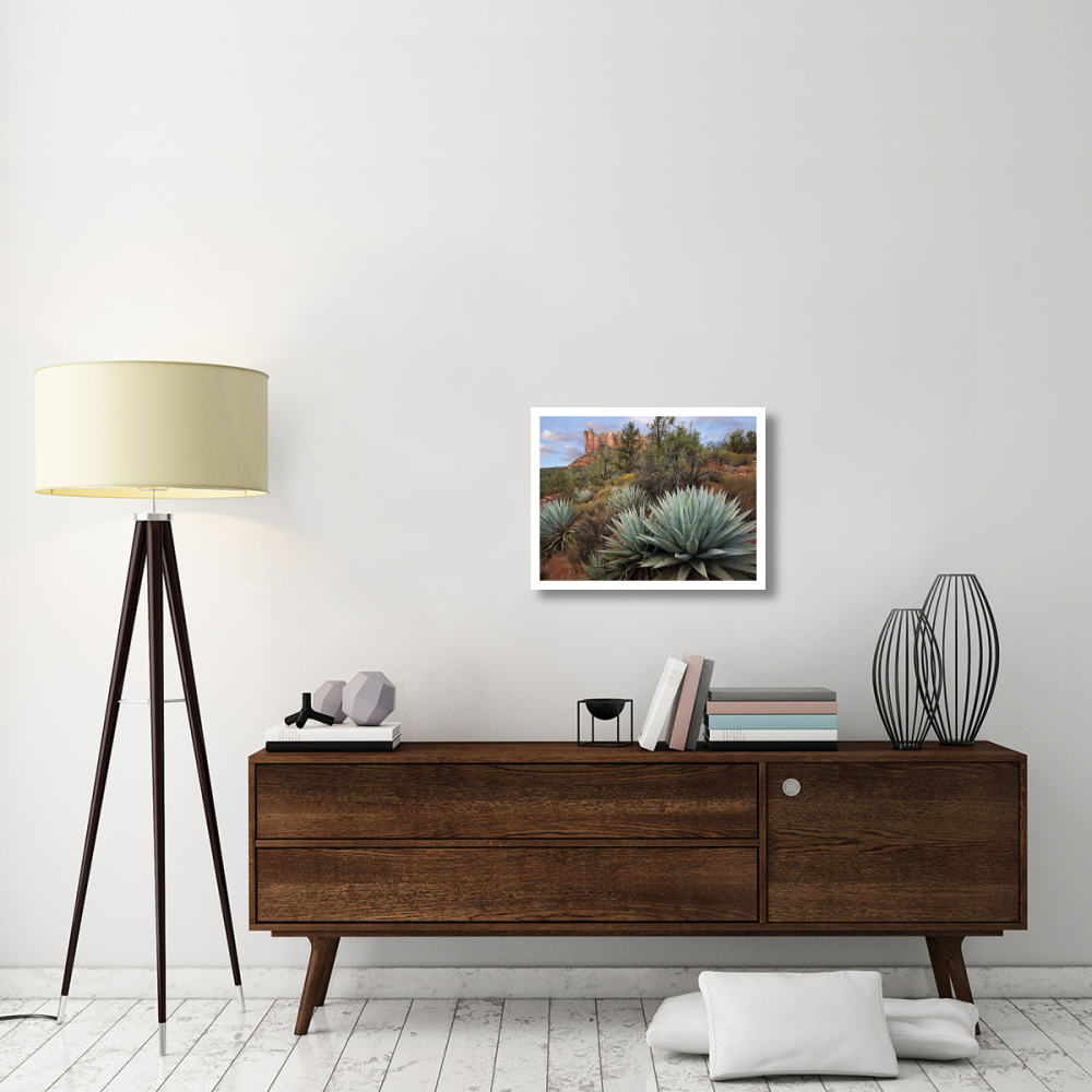Agave and Coffee Pot Rock near Sedona, Arizona-Paper Art-26&quotx20"