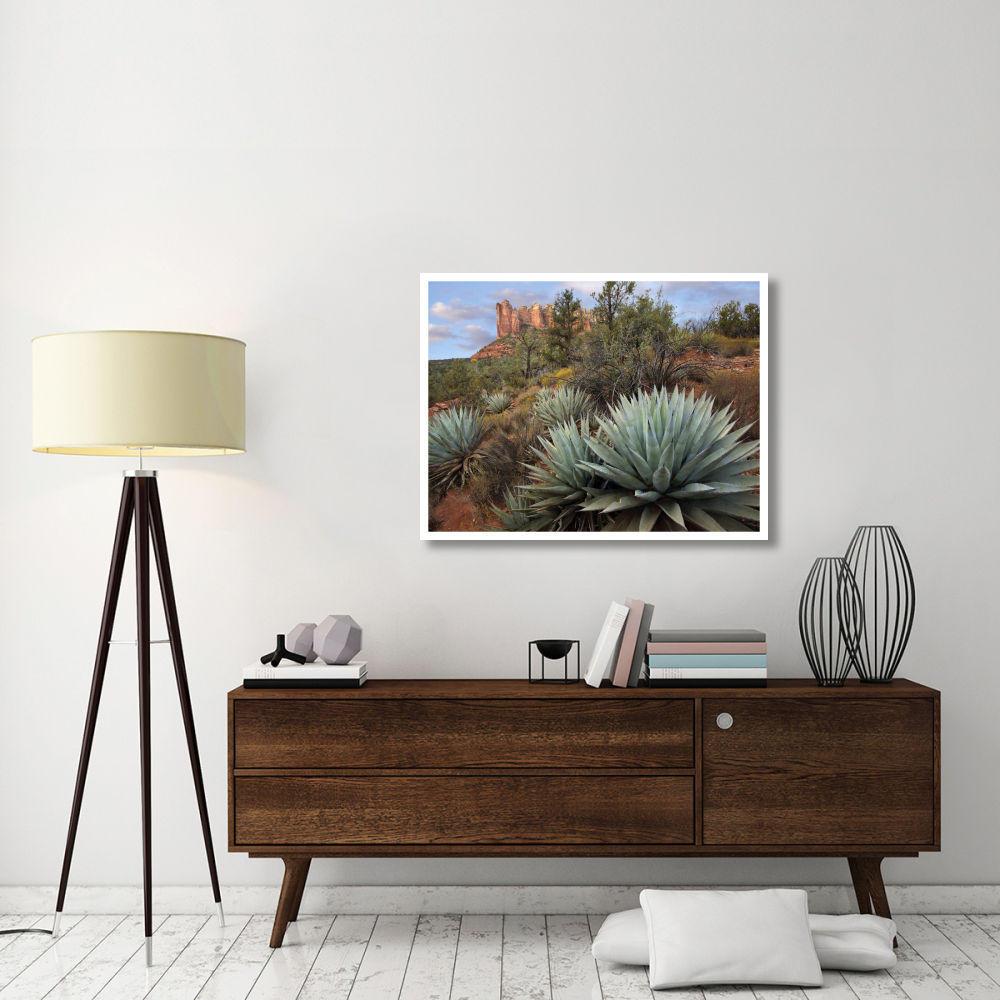 Agave and Coffee Pot Rock near Sedona, Arizona-Paper Art-42&quotx32"