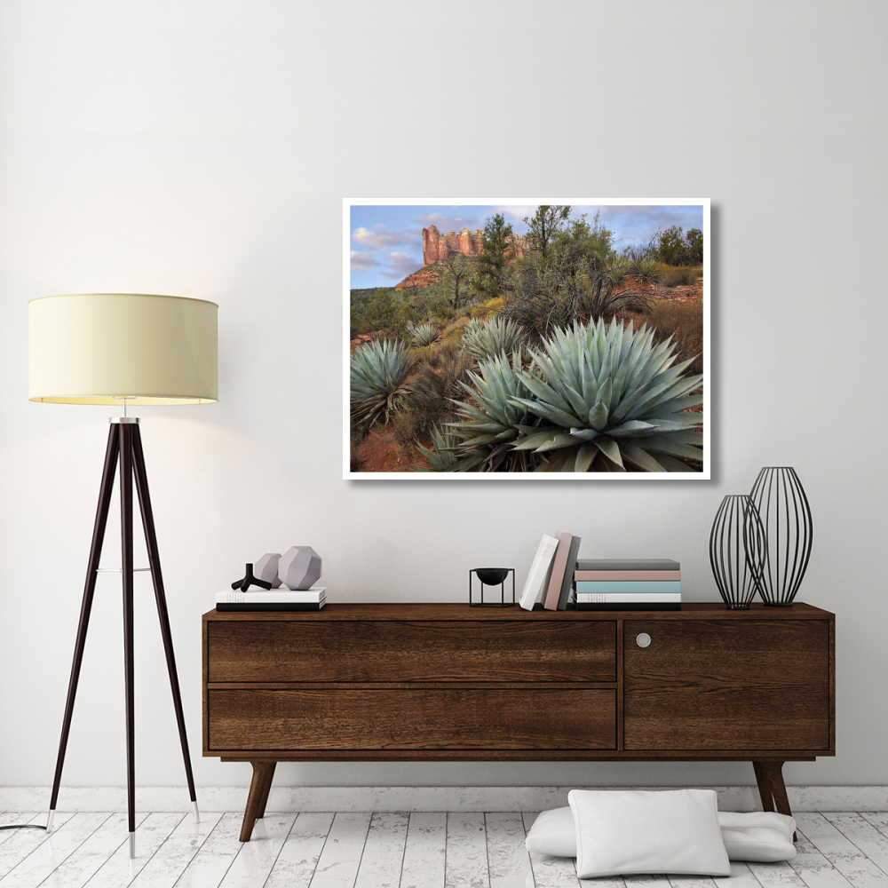 Agave and Coffee Pot Rock near Sedona, Arizona-Paper Art-50&quotx38"
