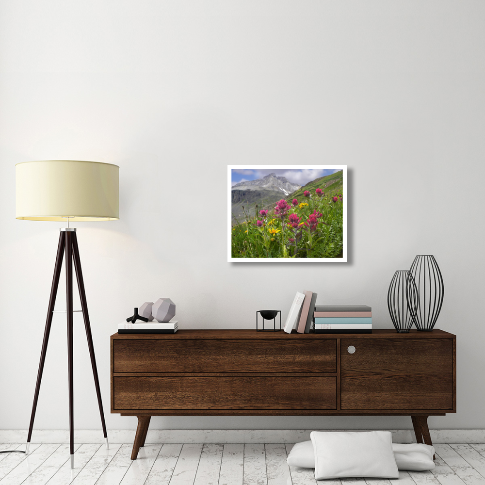 Paintbrush flowers, Yankee Boy Basin, Colorado-Paper Art-30&quotx24"
