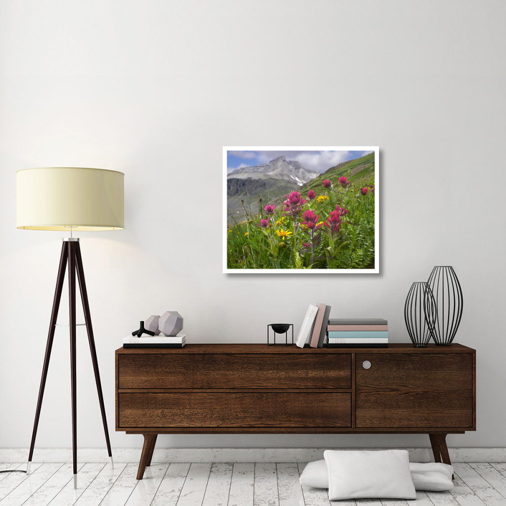 Paintbrush flowers, Yankee Boy Basin, Colorado-Paper Art-37&quotx30"
