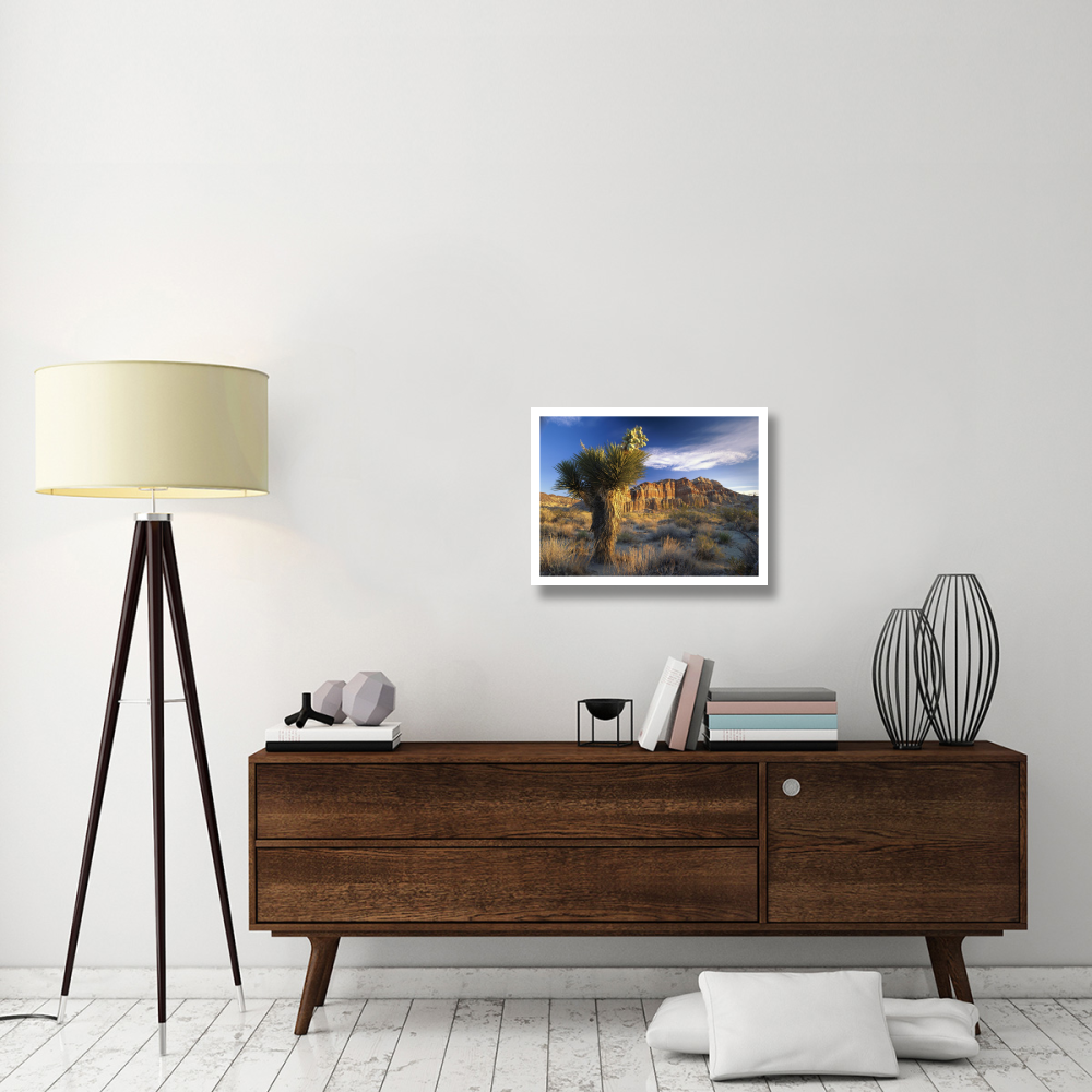 Joshua Tree at Red Rock State Park, California-Paper Art-26&quotx20"