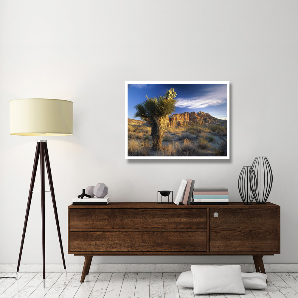 Joshua Tree at Red Rock State Park, California-Paper Art-42&quotx32"