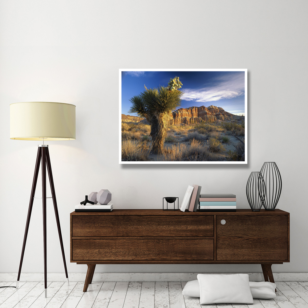 Joshua Tree at Red Rock State Park, California-Paper Art-50&quotx38"