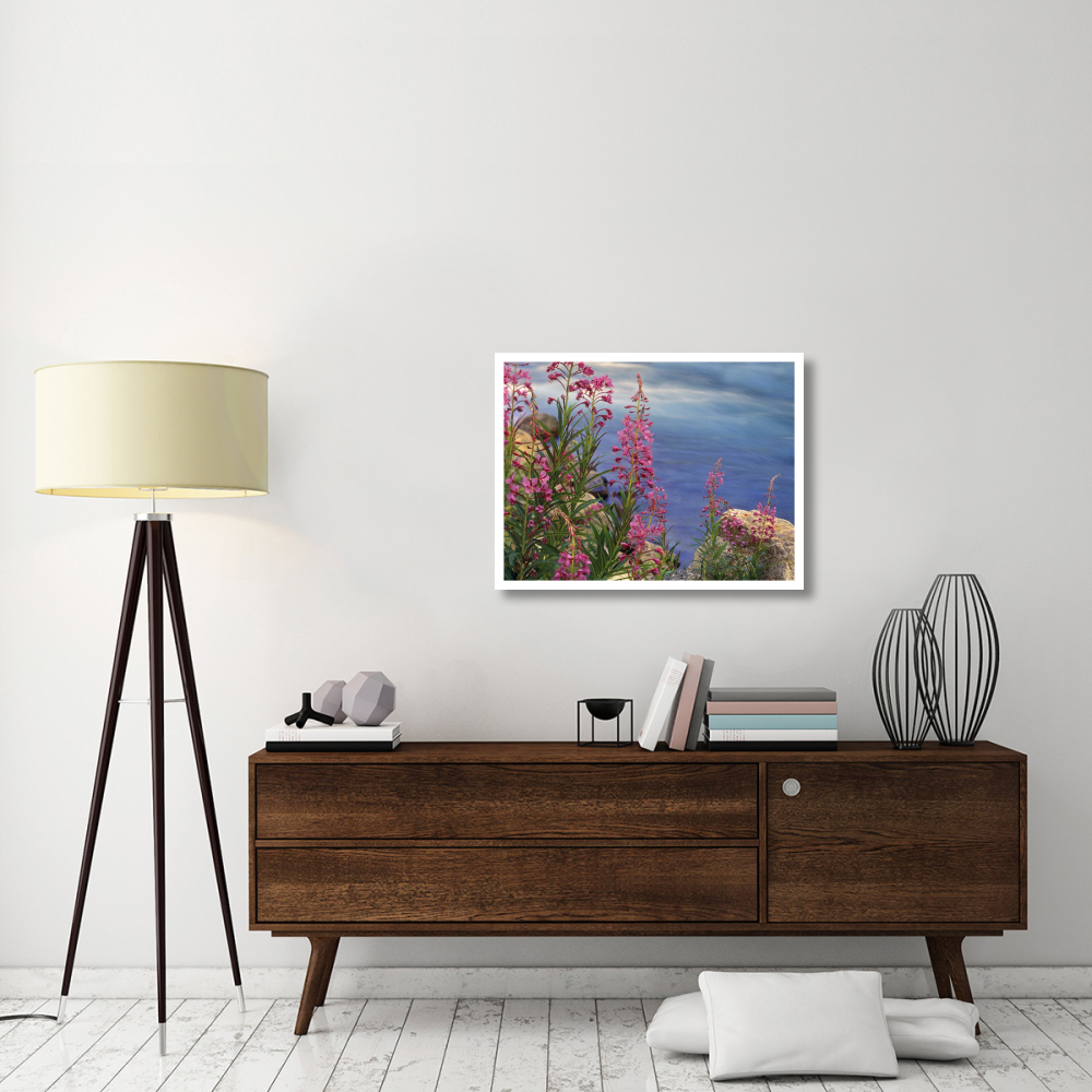 Fireweed against flowing stream, North America-Paper Art-34&quotx26"
