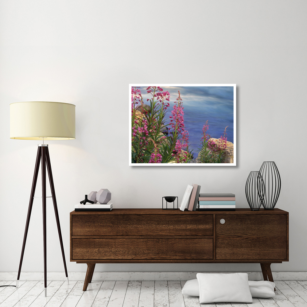 Fireweed against flowing stream, North America-Paper Art-42&quotx32"