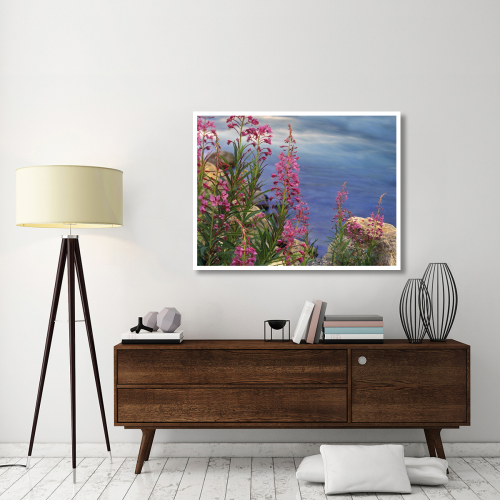 Fireweed against flowing stream, North America-Paper Art-50&quotx38"