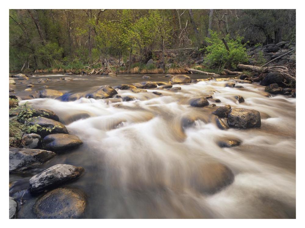 Oak Creek at Grasshopper Point, Sedona, Arizona-Paper Art-34"x26"