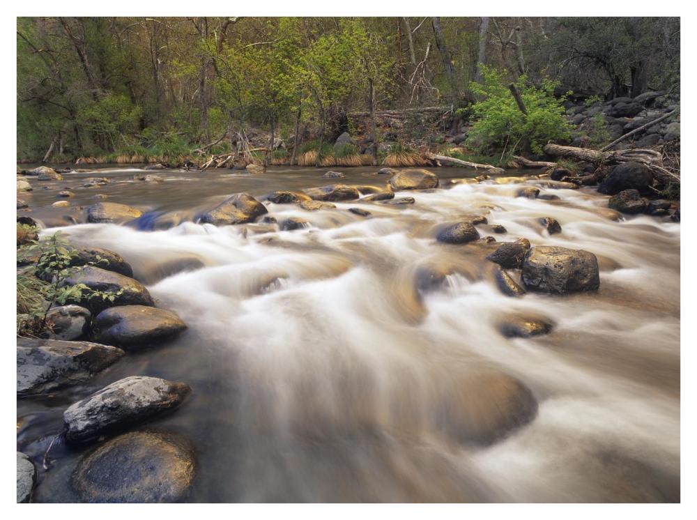 Oak Creek at Grasshopper Point, Sedona, Arizona-Paper Art-42"x32"