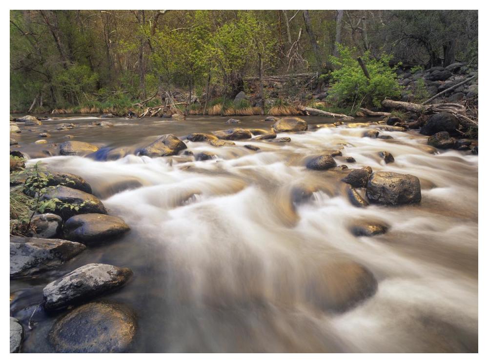 Oak Creek at Grasshopper Point, Sedona, Arizona-Paper Art-50"x38"