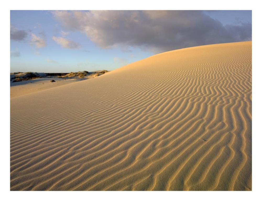 Sand dune, Monahans Sandhills State Park, Texas-Paper Art-26"x20"