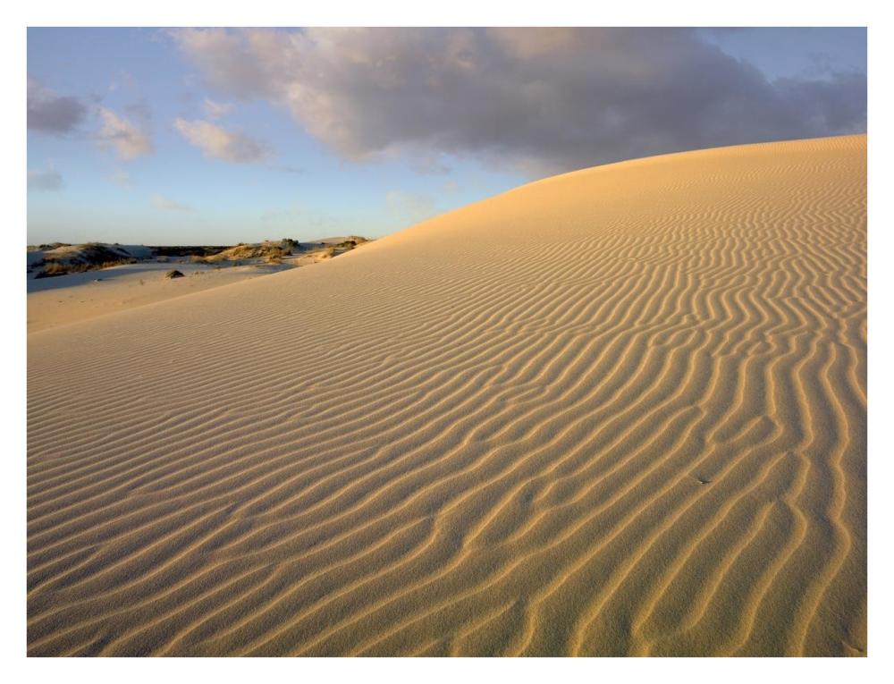 Sand dune, Monahans Sandhills State Park, Texas-Paper Art-34"x26"