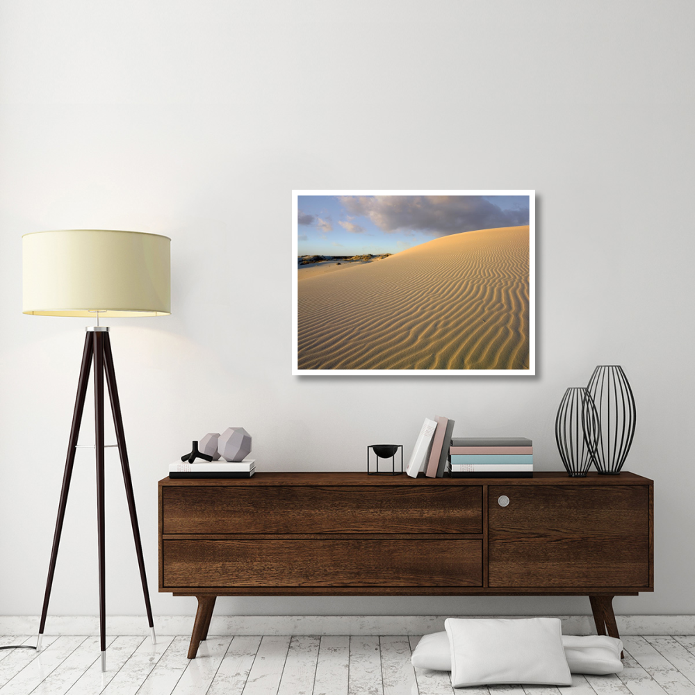 Sand dune, Monahans Sandhills State Park, Texas-Paper Art-42&quotx32"