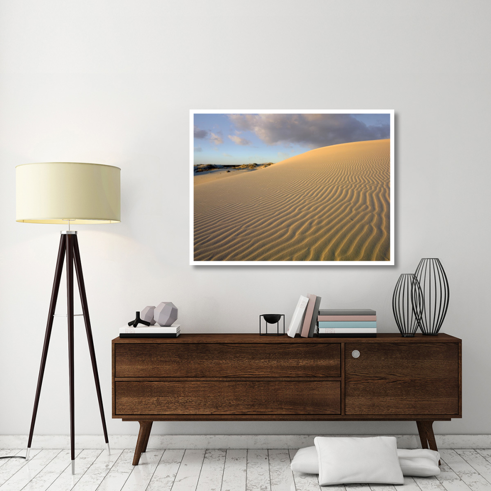 Sand dune, Monahans Sandhills State Park, Texas-Paper Art-50&quotx38"