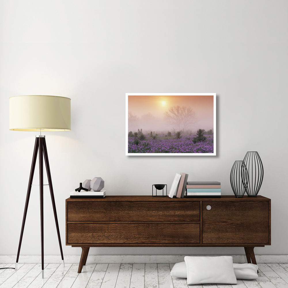 Sand Verbena foggy sunrise, Hill Country, Texas-Paper Art-38&quotx26"