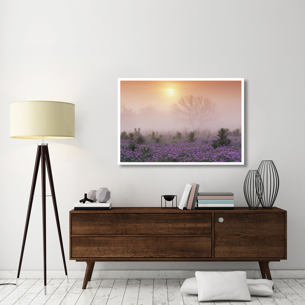 Sand Verbena foggy sunrise, Hill Country, Texas-Paper Art-50&quotx34"