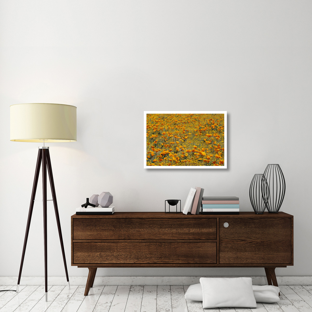 California Poppies and Golden Yarrow California-Paper Art-32&quotx22"