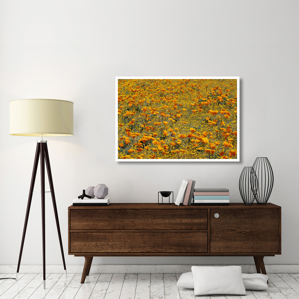 California Poppies and Golden Yarrow California-Paper Art-50&quotx34"
