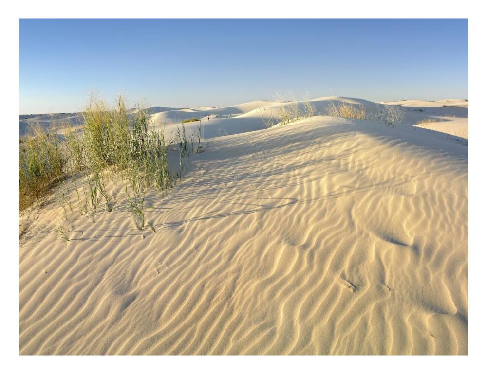 Sand dunes, Monahans Sandhills State Park, Texas-Paper Art-26"x20"