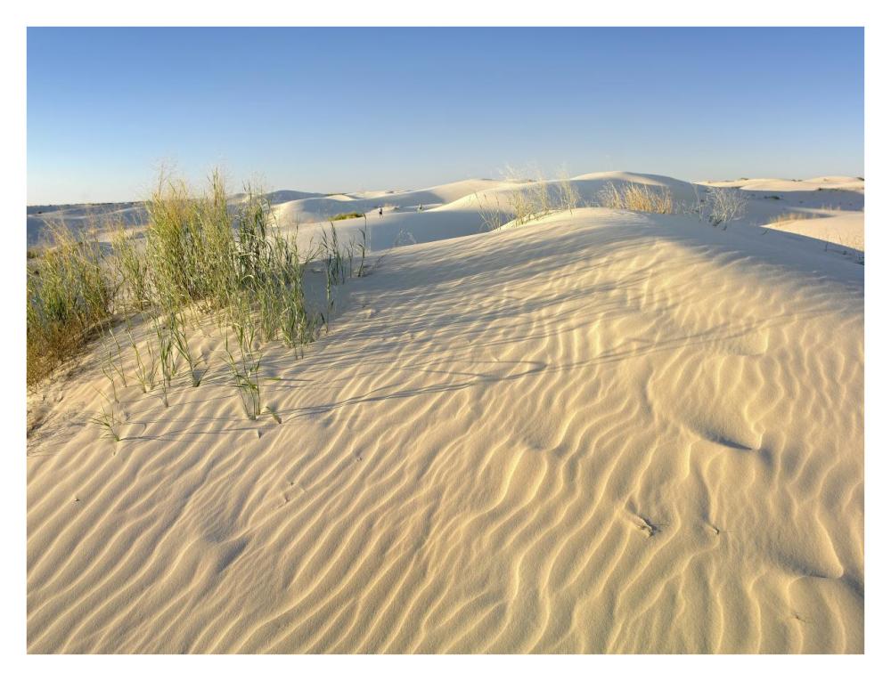 Sand dunes, Monahans Sandhills State Park, Texas-Paper Art-34"x26"