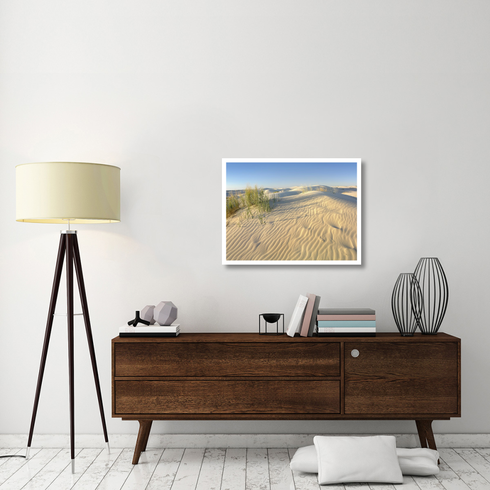 Sand dunes, Monahans Sandhills State Park, Texas-Paper Art-34&quotx26"