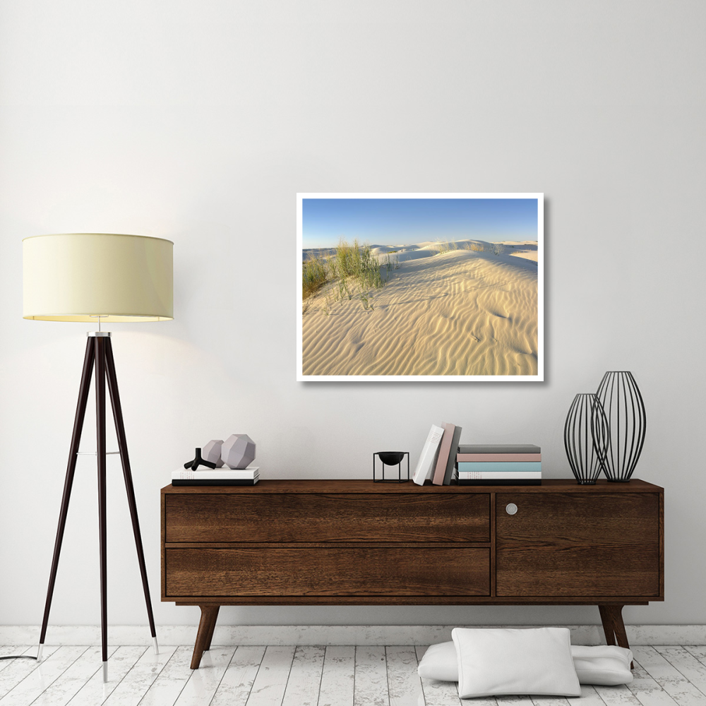 Sand dunes, Monahans Sandhills State Park, Texas-Paper Art-42&quotx32"