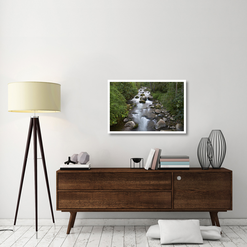 Savegre River flowing through forest, Costa Rica-Paper Art-38&quotx26"