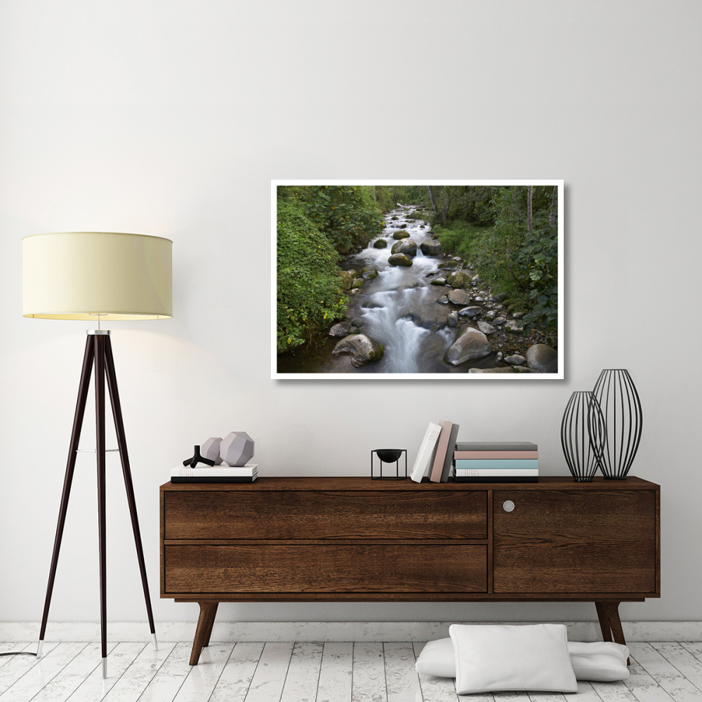 Savegre River flowing through forest, Costa Rica-Paper Art-50&quotx34"
