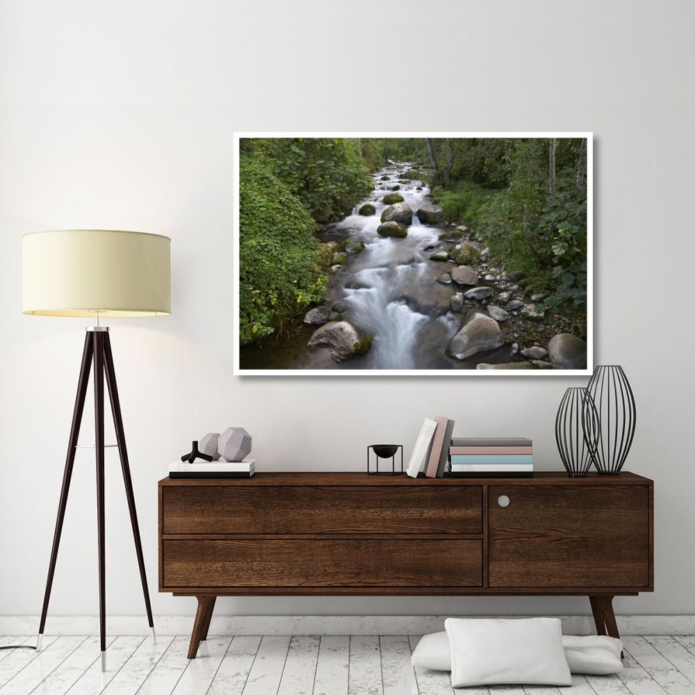Savegre River flowing through forest, Costa Rica-Paper Art-62&quotx42"