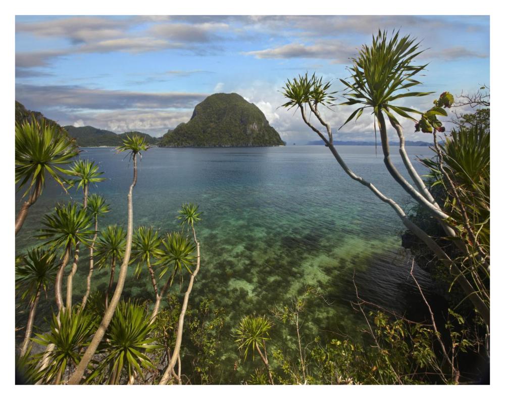 Cadlao Island near El Nido, Palawan, Philippines-Paper Art-34"x26"