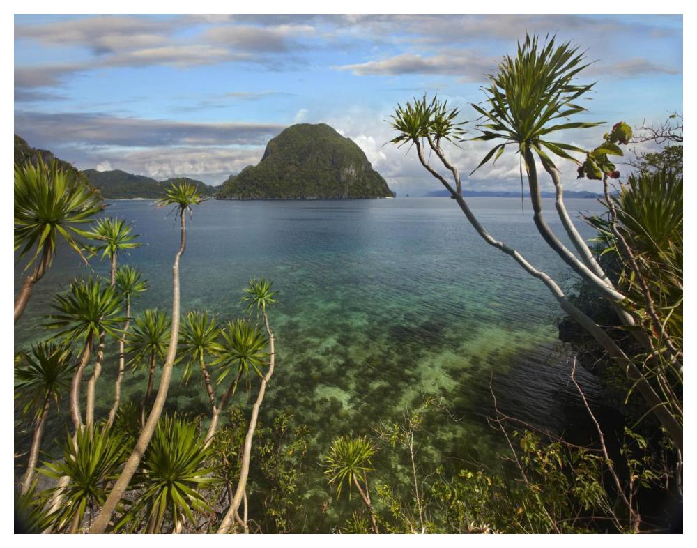 Cadlao Island near El Nido, Palawan, Philippines-Paper Art-50"x38"