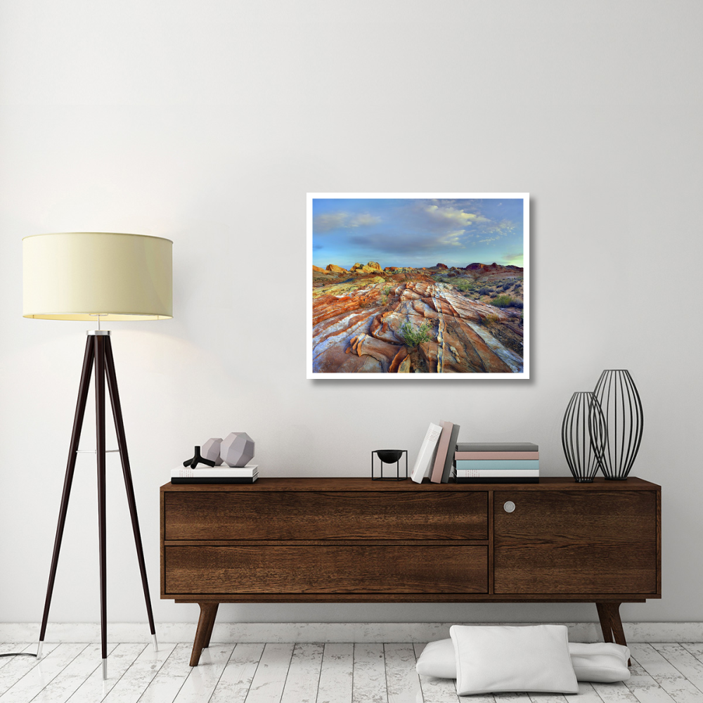 Rainbow Vista, Valley of Fire State Park, Nevada-Paper Art-38&quotx31.88"
