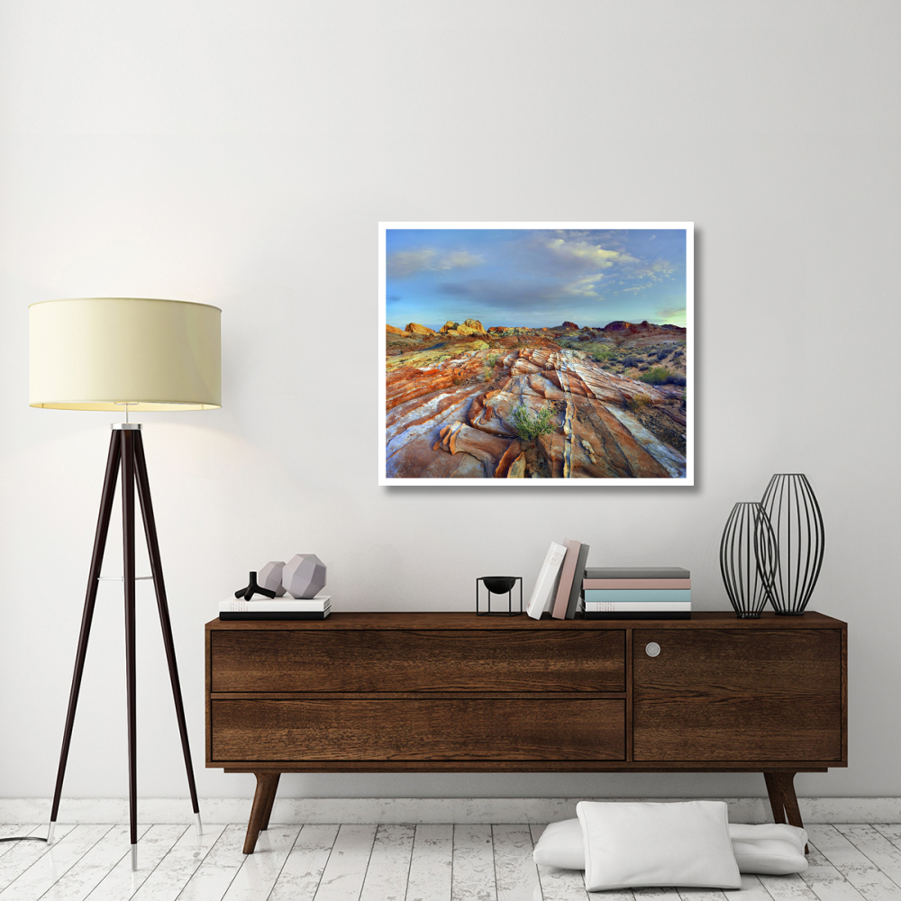 Rainbow Vista, Valley of Fire State Park, Nevada-Paper Art-42&quotx35.2"