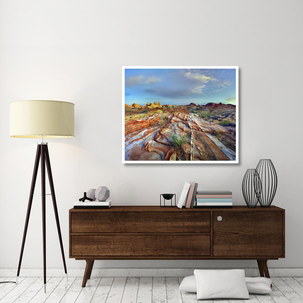 Rainbow Vista, Valley of Fire State Park, Nevada-Paper Art-46&quotx38.52"