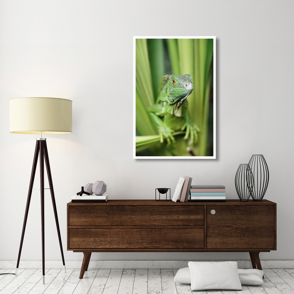 Green Iguana portrait, Honduras, Central America-Paper Art-34&quotx50"