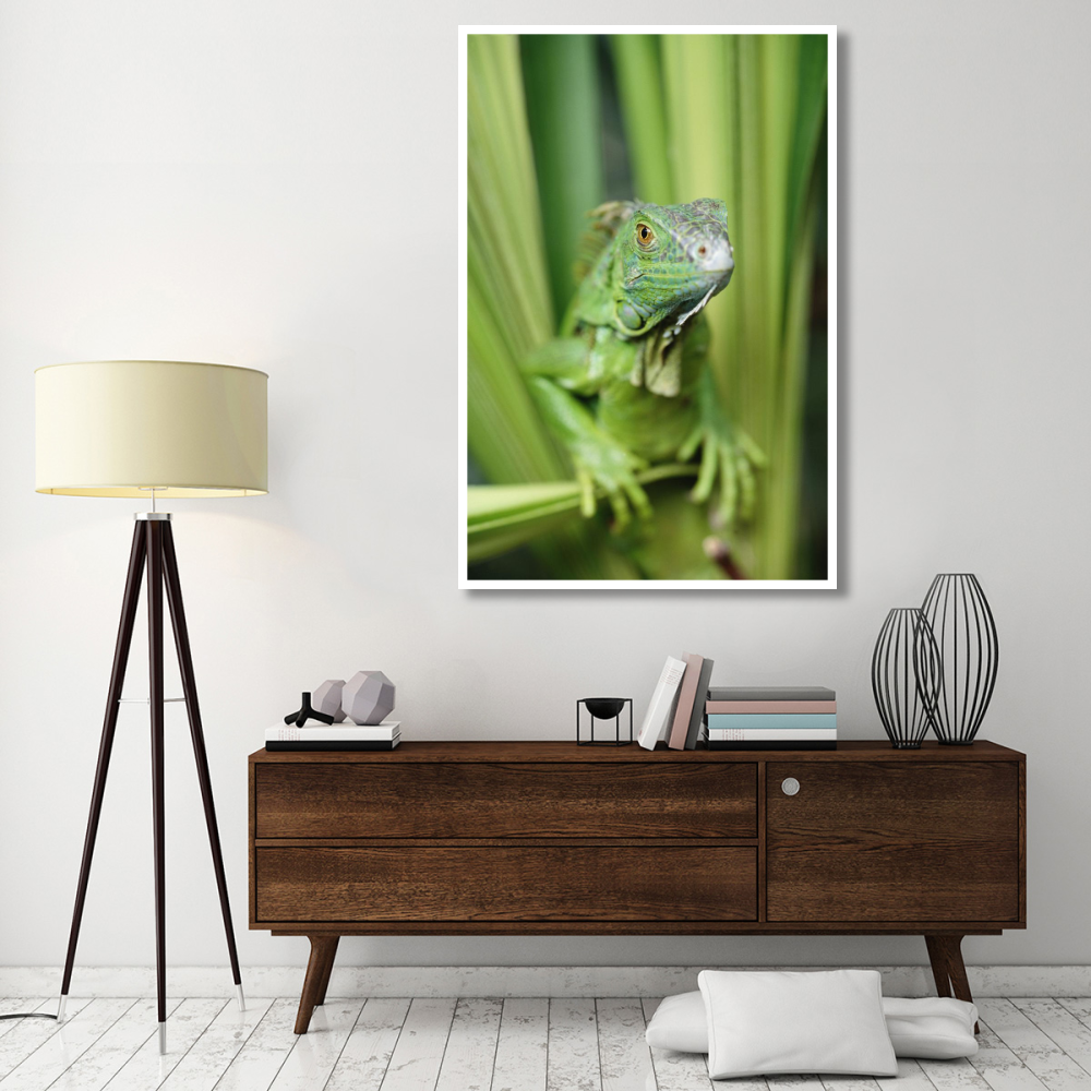 Green Iguana portrait, Honduras, Central America-Paper Art-42&quotx62"